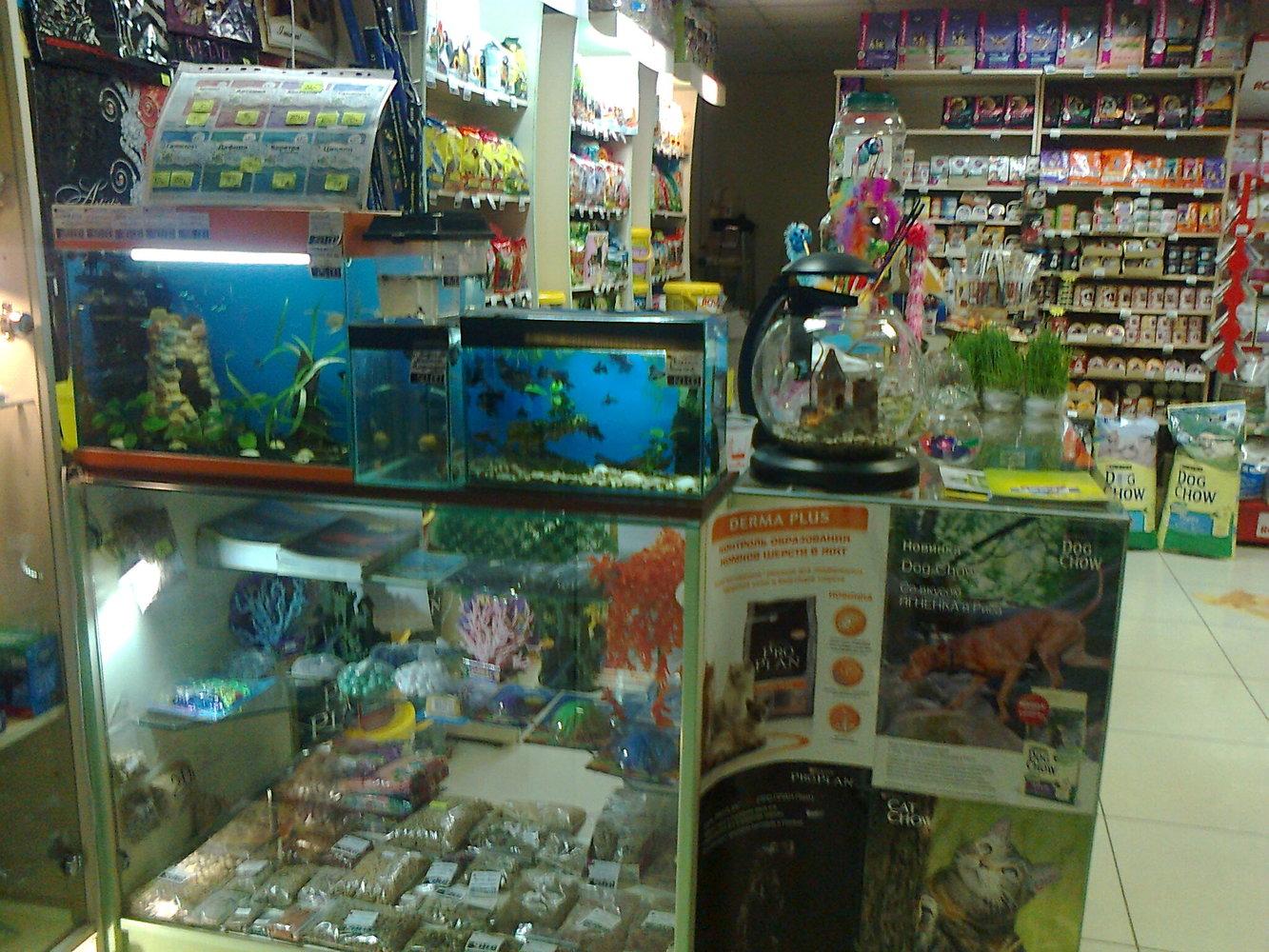 Где Купить Аквариумных Рыбок В Городе Шумерля