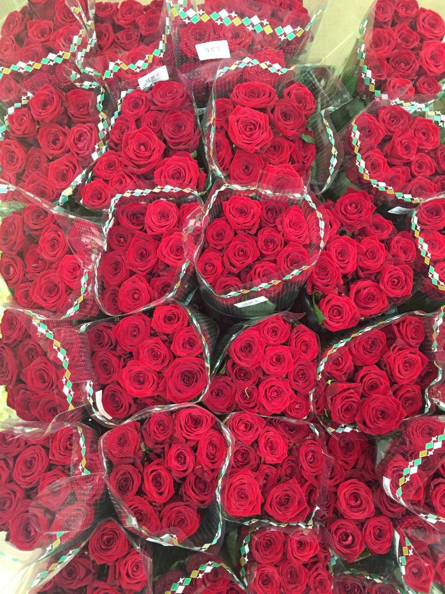 Цветы арск. Оптовая Цветочная база в Ереване. Цветы Арска. Оптовая база цветов для сада в Ереване. Черно красные цветы цветочные базы.