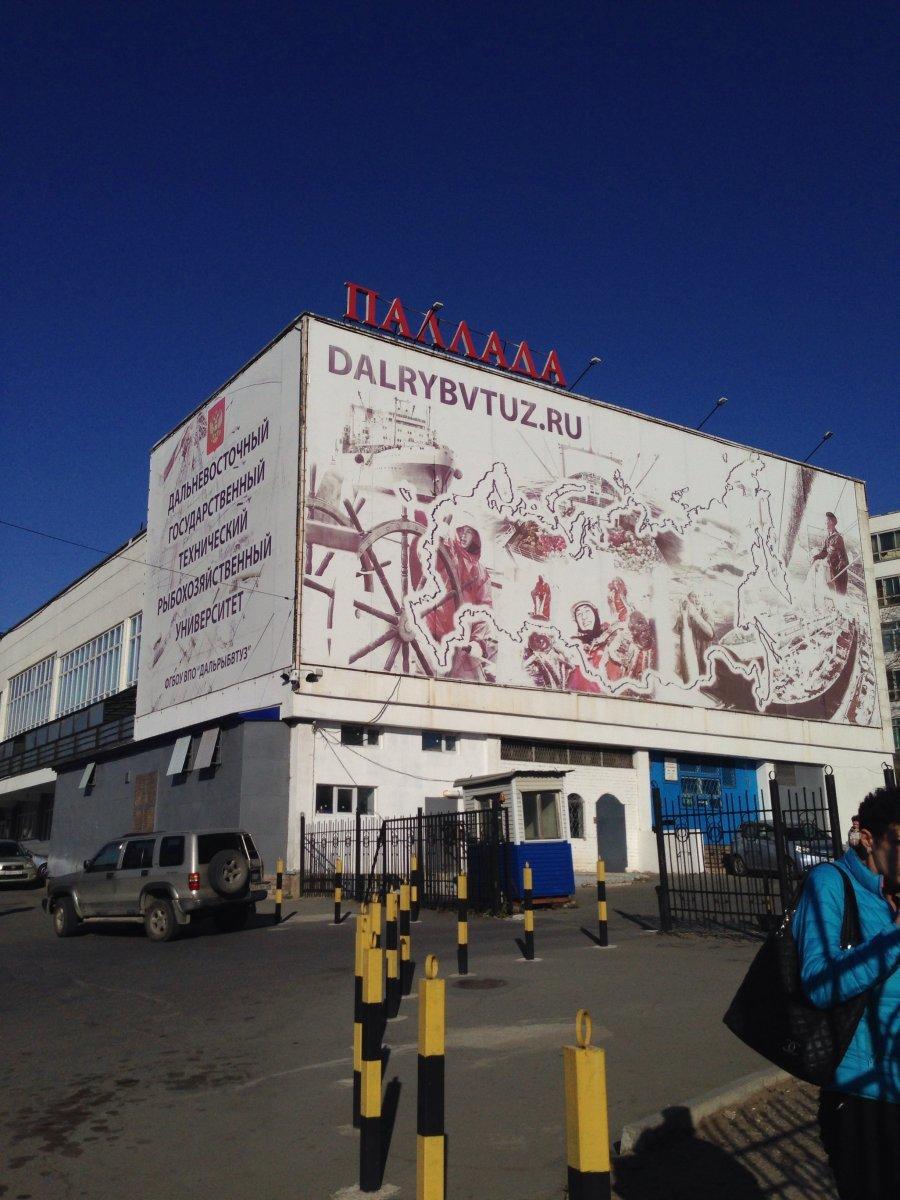 Паллада луговая ул 52а владивосток фото Паллада луговая ул 52а владивосток фото