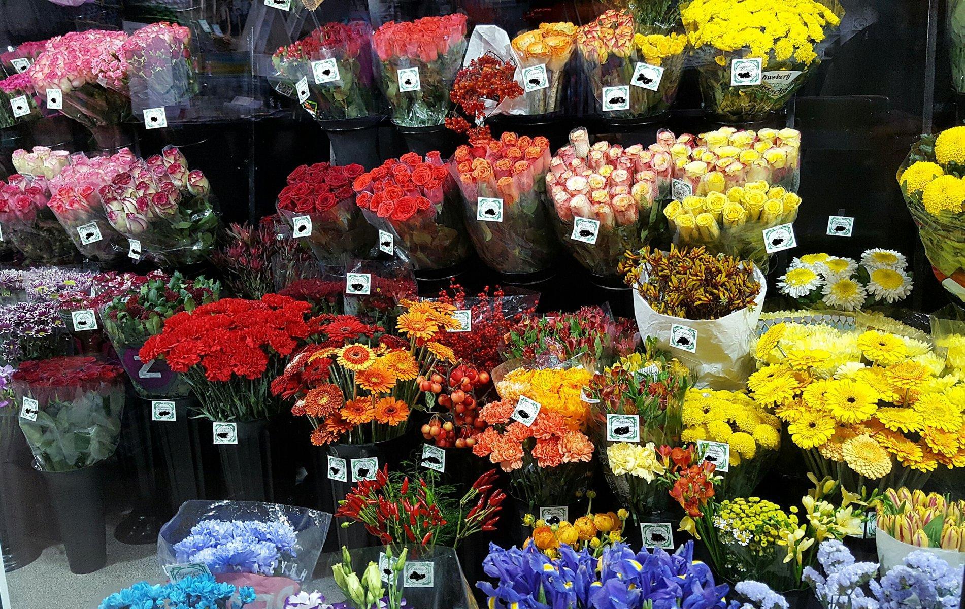 Купить цветы на базе. Самые дешевые цветы. Дешевые магазины цветов. Бюджетные цветы. Самый дешевый цветочный магазин.