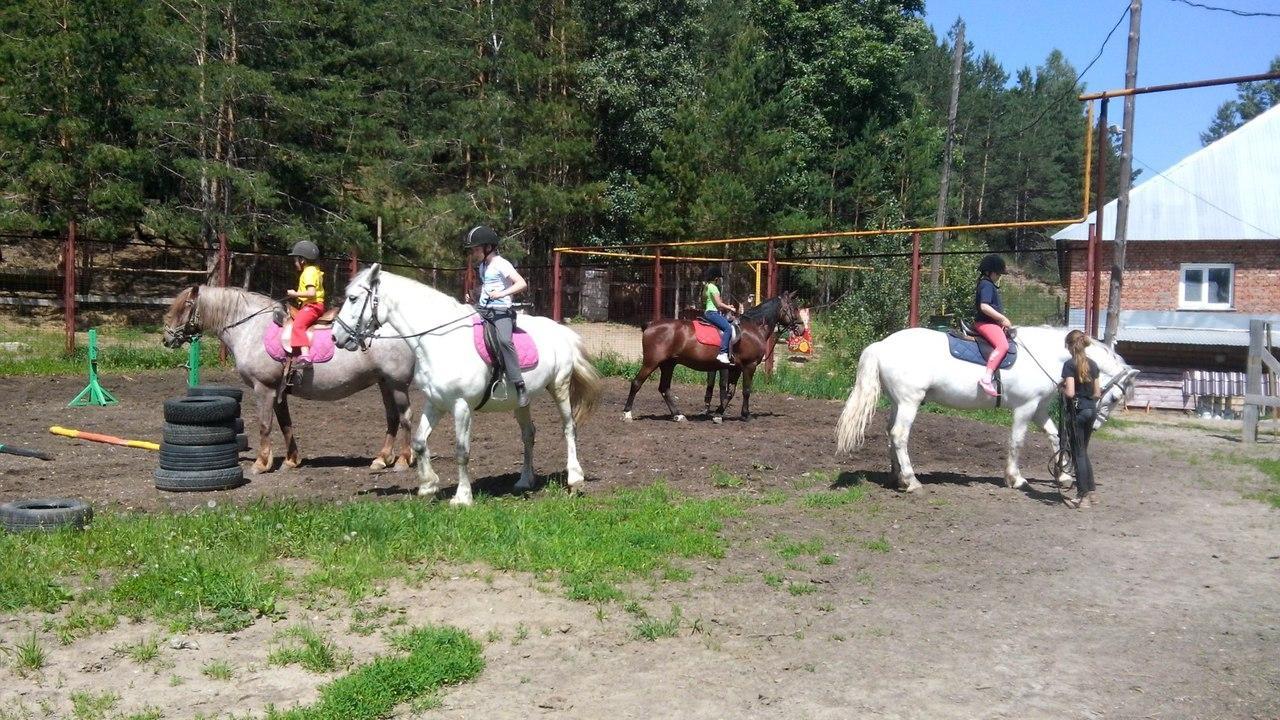 Ипподром клуб. Конный клуб Новосибирск. Конный клуб Русь Прокопьевск. Конный клуб в лесных Полянах. Конный клуб Альманах Лесные Поляны.