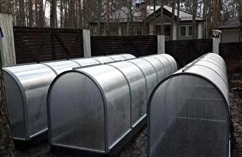 Тюльпан мини